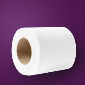 Туалетная бумага Papero двухслойная 12.5м  фото